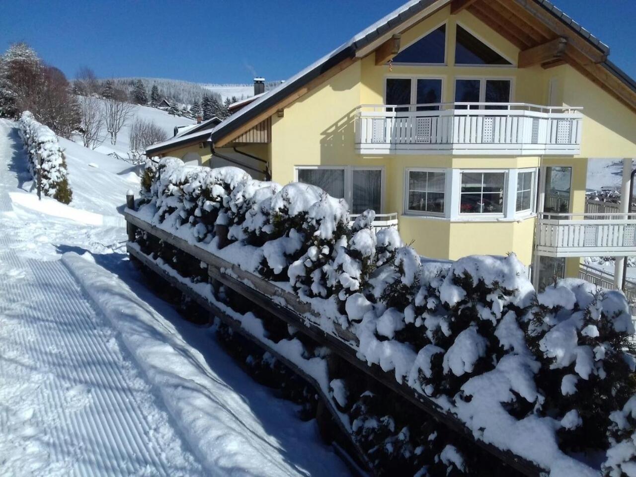 "Schwarzwaldblick" Ferienwohnung 2-4 Pers 65Qm, Schoene Ruhige Suedhanglage Mit Herrl Aussicht Todtnau Dış mekan fotoğraf
