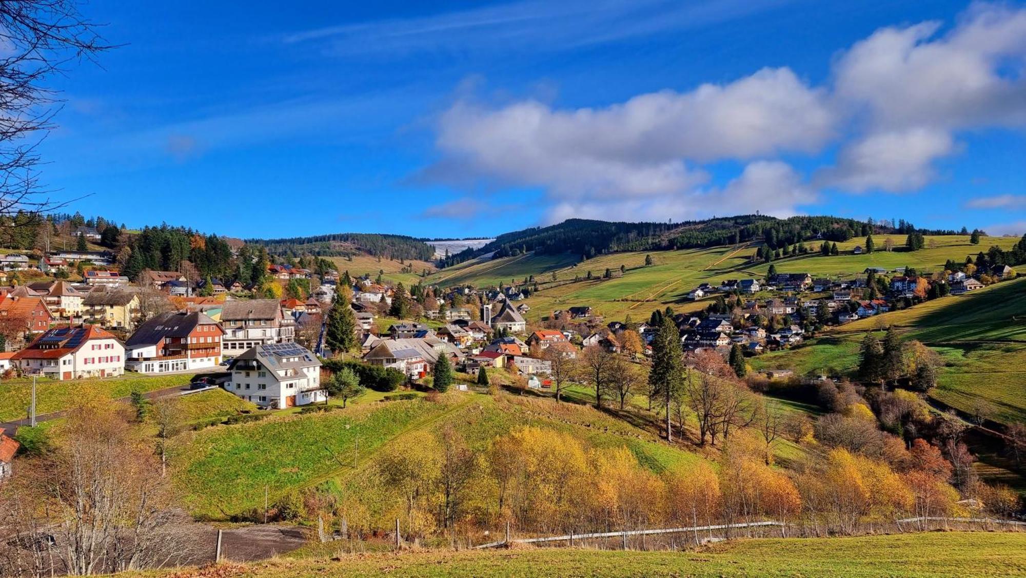 "Schwarzwaldblick" Ferienwohnung 2-4 Pers 65Qm, Schoene Ruhige Suedhanglage Mit Herrl Aussicht Todtnau Dış mekan fotoğraf