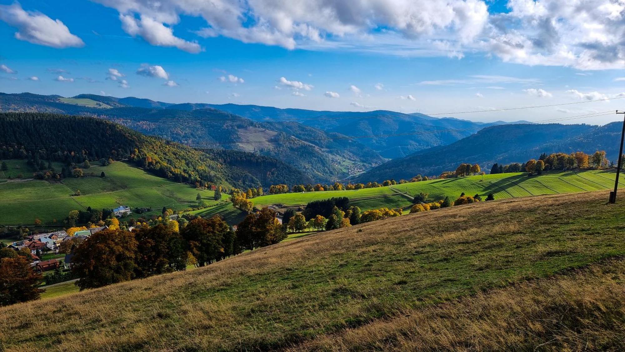 "Schwarzwaldblick" Ferienwohnung 2-4 Pers 65Qm, Schoene Ruhige Suedhanglage Mit Herrl Aussicht Todtnau Dış mekan fotoğraf